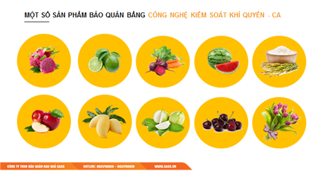 Techmart Công nghệ sau thu hoạch trực tuyến 2021: Công nghệ xử lý và bảo quản nông sản lưu kho